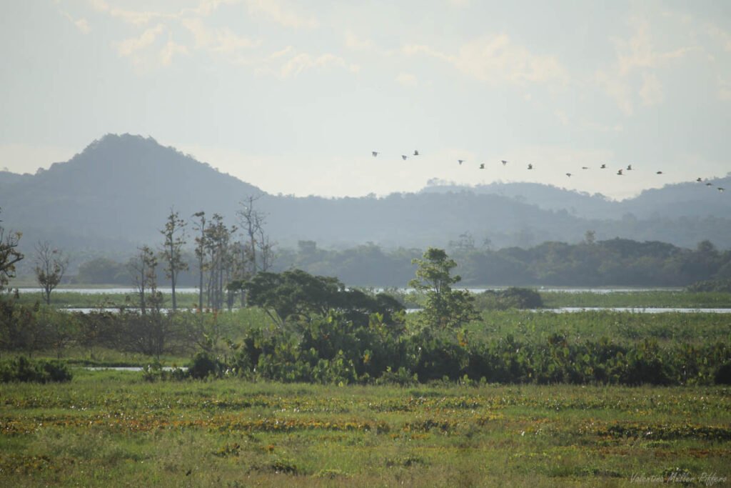 cenas-territorio-amapa-foto-valentina-piffero03