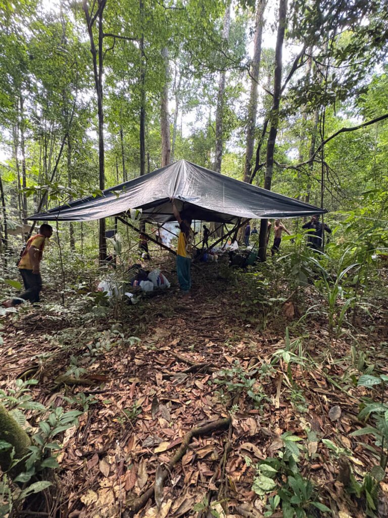 pesquisa-floresta-fotos-fernanda-michalski-01