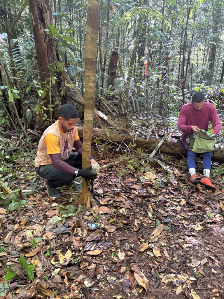 pesquisa-floresta-fotos-fernanda-michalski-19